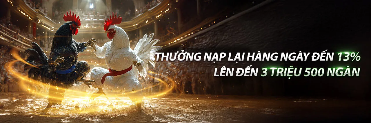 Sân chơi đá gà trực tuyến Kubet77 với không khí sôi động và những trận đấu kịch tính